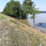 IMG_20190616_095938