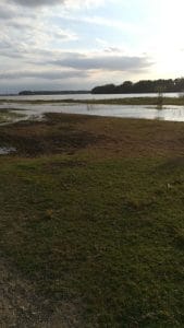 img-20190629-wa0020_20190710_193538781