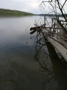 img_20190714_071211_20190719_095720978