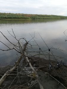 Cu batul in balta la Patlageanca (Chilia)