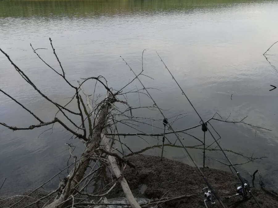 Cu batul in balta la Patlageanca (Chilia)