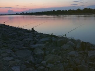 Aventura si pescuit la crap pe Gorgova bratul Sulina Aventura si pescuit la crap pe Gorgova bratul Sulina