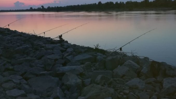 Aventura si pescuit la crap pe Gorgova bratul Sulina Aventura si pescuit la crap pe Gorgova bratul Sulina