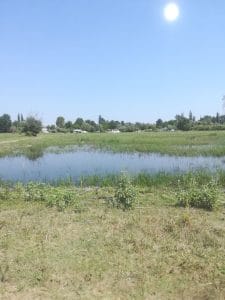 img_20190721_112353_20190722_081815370