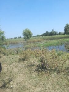 img_20190721_112425_20190722_081813974