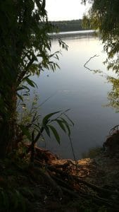 Pescuit la crap pe "Batrana Doamna" zona Ceatalchioi