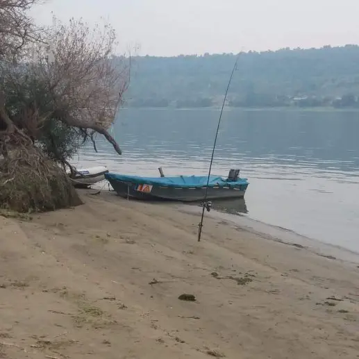 Crapi Salbatici de Dunare cu Cicerone Pescar Hoinar