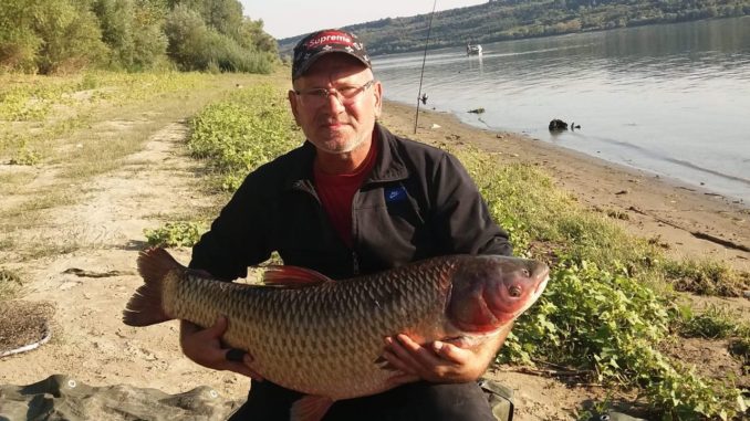 Crapi Salbatici de Dunare cu Cicerone Pescar Hoinar Crapi Salbatici de Dunare cu Cicerone Pescar Hoinar