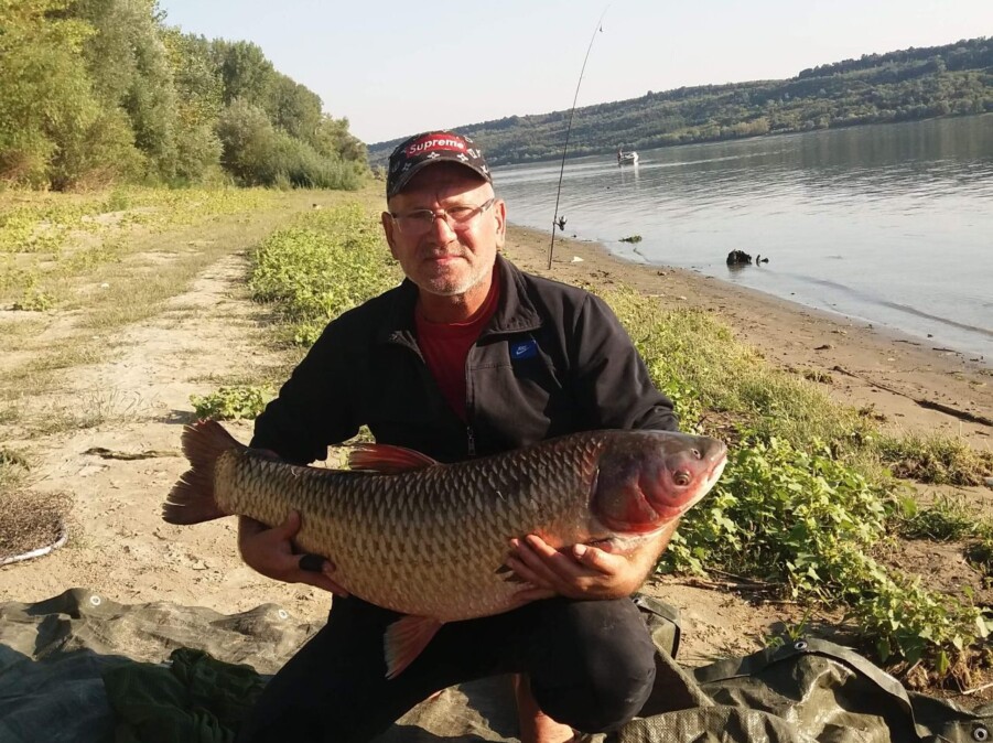 Crapi Salbatici de Dunare cu Cicerone Pescar Hoinar - O Aventură Memorabilă 9 Crapi Salbatici de Dunare cu Cicerone Pescar Hoinar