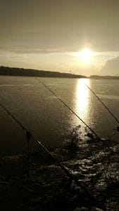 img-20190803-wa0004_20190910_091552797