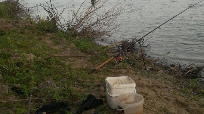 Pescuit de Ciortani la Feeder pe Bratul Borcea Pescuit de Ciortani la Feeder pe Bratul Borcea