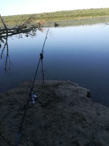 Pescuit la crap in zona Pardina