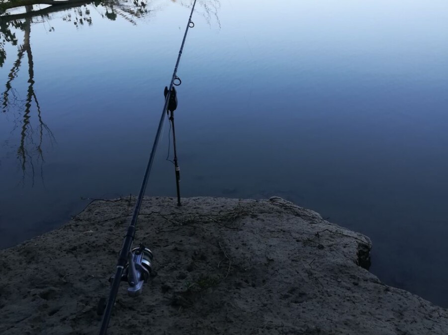 Pescuit la crap in zona Pardina – O Experiență de Neuitat 5 Pescuit la crap in zona Pardina