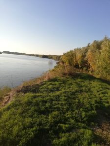 Pescuit la dunare pe bratul Chilia