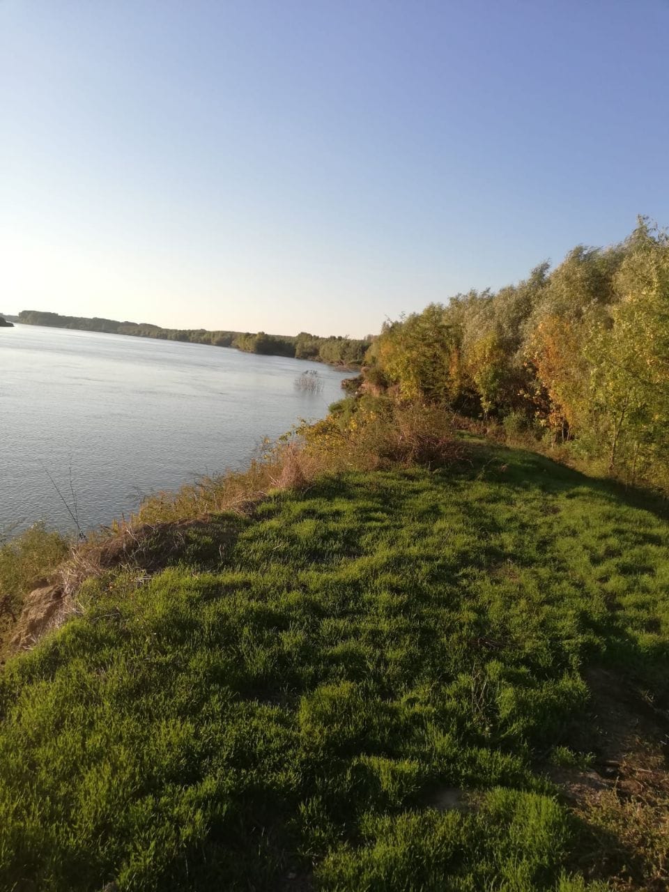 Pescuit la dunare pe bratul Chilia