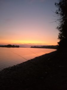 Avatul, Stiuca, Ciortanul si Morunasul mancat de Vulpe