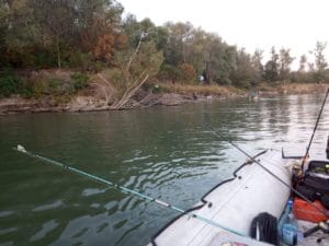 received_2247619815367317_20191023_182019825