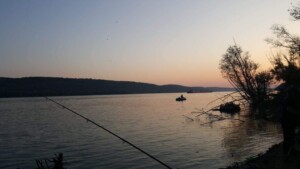 Vezi Ordin prohibitie 2021 – Monitorul Oficial