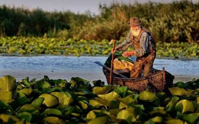 Delta Dunarii - Un colt de rai, o lume a apelor, o oaza de liniste.. 11 Tarifele de intrare în Delta Dunarii vor creste cu 680% din 2023