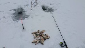 O mică copcăreală de pe vremea când iarna era iarnă..