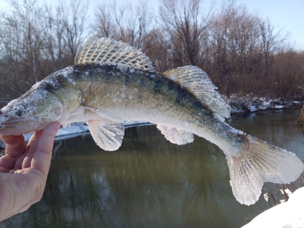 Pescuit si aventura pe raul Neajlov