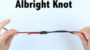Nod Albright – Albright Knot