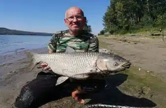 Pescuit extrem la Dunare cu Cicerone Pescarul Hoinar