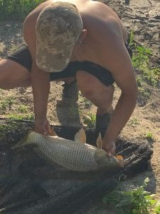 Mamaliga, Porumb si Crap pe Bratul Borcea