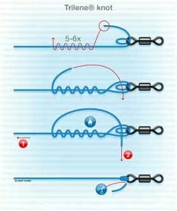 trilene-knot-detalii