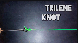 Nodul Trilene – Trilene Knot