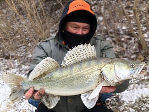 Salau de Prut pe o vreme cu "dinti"