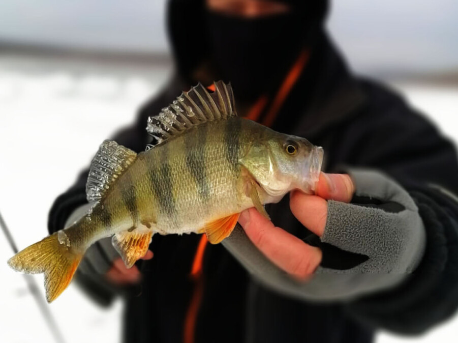 Cand am crezut ca s-a terminat pescuitul la copca