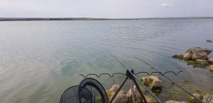 Pescuit la feeder pe lacul Tasaul