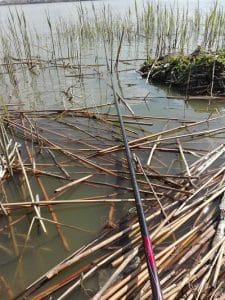 Pescuit la fixa pe Ghiolul Mare (Siutghiol)