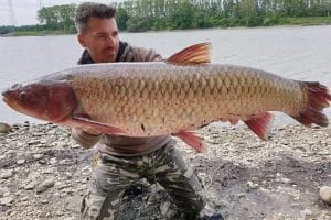 97112057_867354683762147_5240717638585286656_n