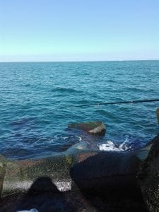 O partida de pescuit guvizi la Marea Neagra