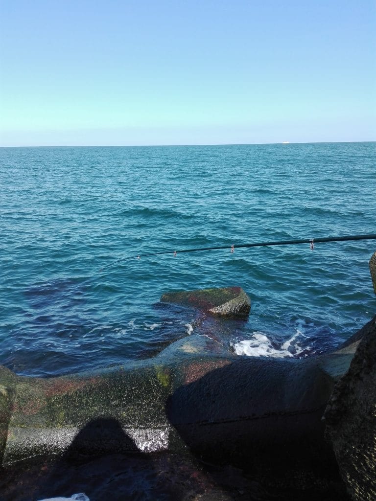 O partida de pescuit guvizi la Marea Neagra – Sfaturi și tehnici 4 O partida de pescuit guvizi la Marea Neagra