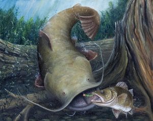 somnul-peste-rapitor