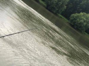 Pescuit la dunare - Imagine