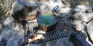 Saramura Crap Gorgova