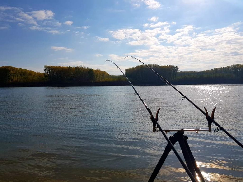 Pescuit la Mreana pe Bratul Borcea: O Aventură pe Dunăre 1 Pescuit la mreana pe bratul Borcea