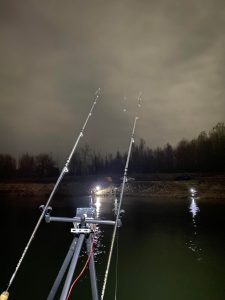 Pescuit la morunaș – Poveste din Delta Dunării