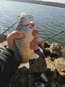 Pescuit pe Canalul Dunare-Marea Neagra