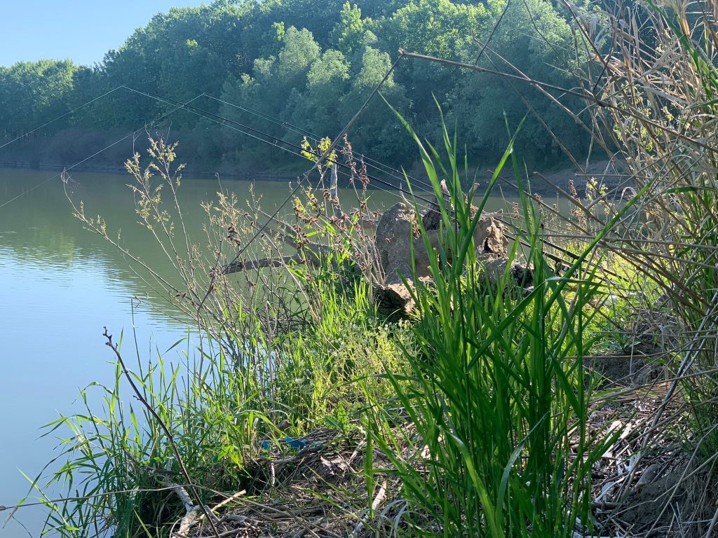 Alegerea locului de pescuit la crap pe Dunare