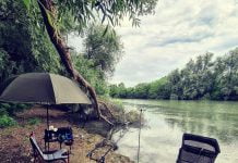 Pescuit la feeder pe canalul Dunavat
