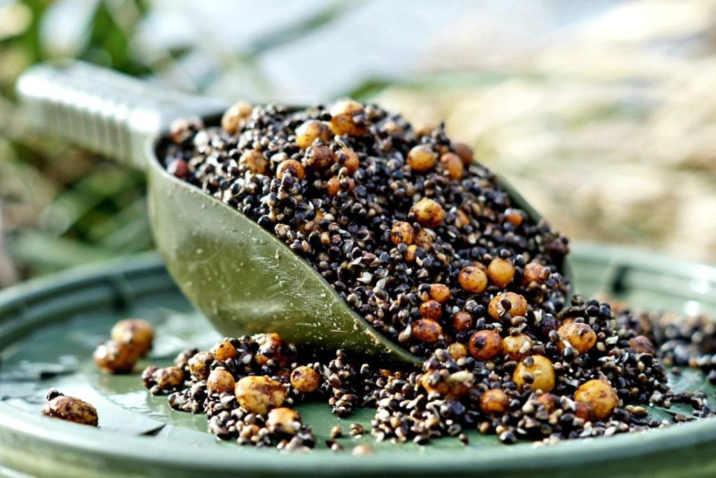 Seminte si ulei de canepa, super nada pentru crapi 5 Semințe si ulei de cânepă, super nada pentru crapi