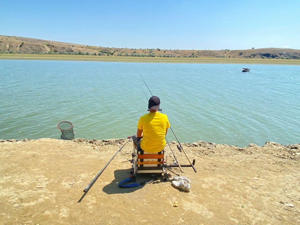 Cu feederul pe la dunare