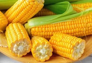 Cum sa prinzi crap cu boabe de porumb