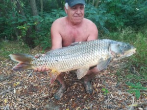 Povestea unui crap prins pe Dunare, la Ostrov