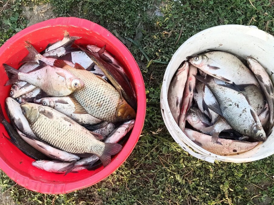 Platicareala la method pe Dunare 7 Platicareala la method pe Dunare